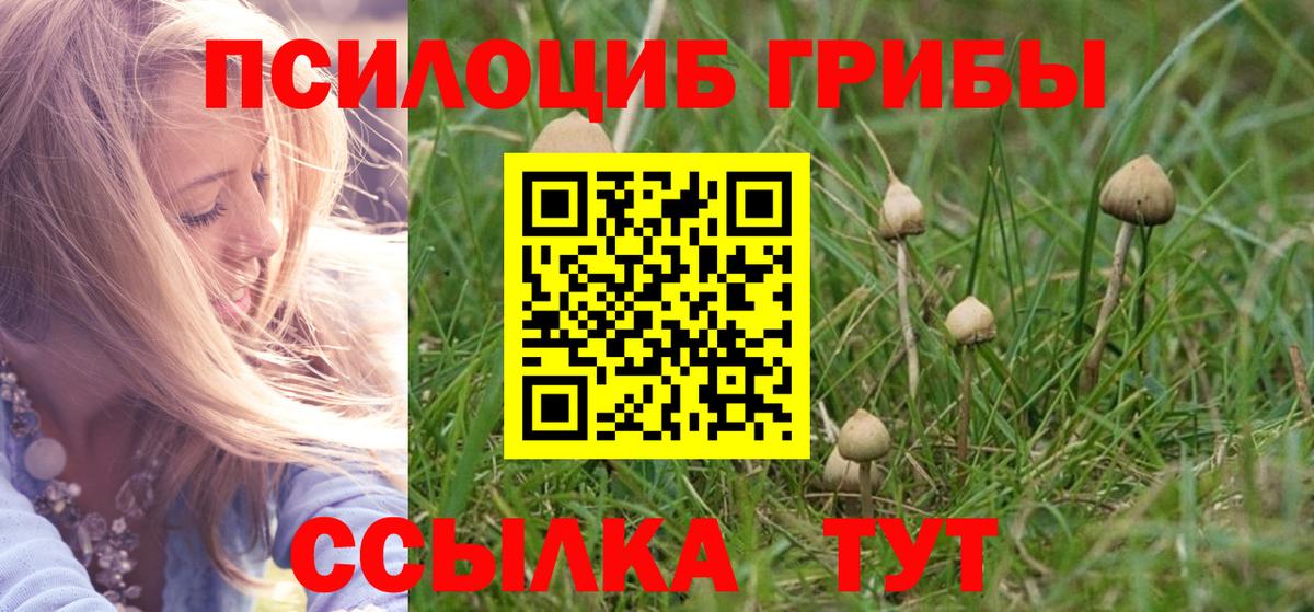 Галлюциногенные грибы GOLDEN TEACHER  Галлюциногенные грибы GOLDEN TEACHER  Белая Калитва  Вход с VPN 